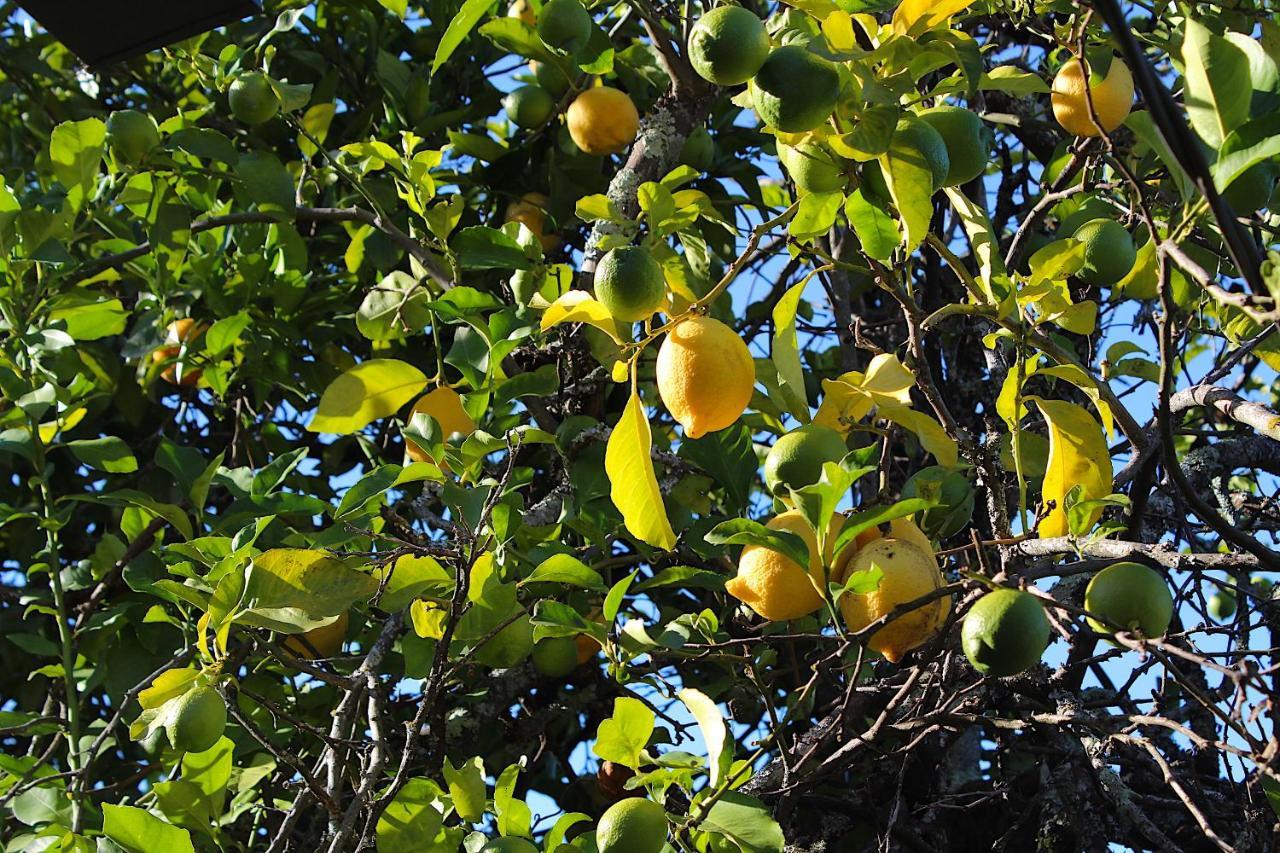 Recanto Tia Sao Magalhaes بونتي دا بارسا المظهر الخارجي الصورة